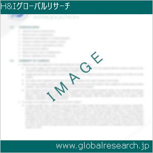 グローバルリサーチ調査レポートのイメージ